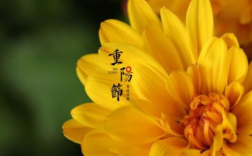 中秋佳节活动方案8篇