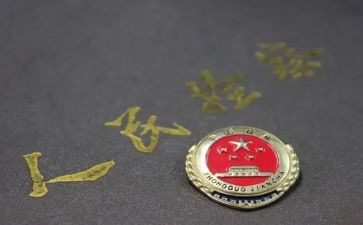 2024年个人检察工作总结5篇