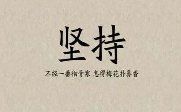 论坚持依法治国的心得体会7篇