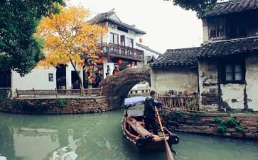 江南柳的读后感6篇
