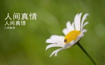 人间真情的作文优质7篇