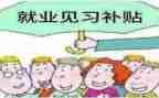 见习的个人总结参考5篇