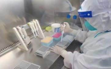 检验岗个人总结模板6篇
