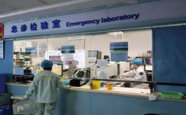 医院检验室个人总结6篇