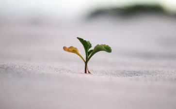 难忘那坚毅的眼神的作文5篇