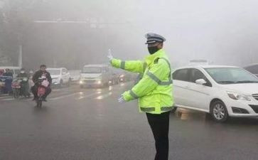 交警年度总结7篇