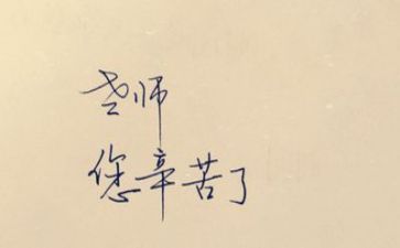 亲教师个人总结优秀5篇