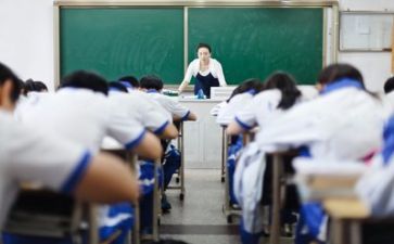教师年度优秀总结个人总结6篇