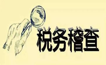 2023稽查个人总结模板5篇