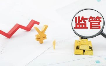 2023稽查个人总结8篇