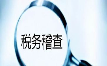 个人稽查年终总结6篇