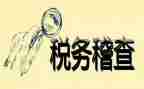 2023稽查个人总结模板5篇