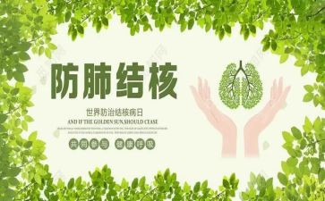 2024年结核宣传总结6篇
