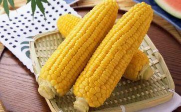 掰玉米的作文5篇