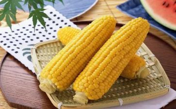 种玉米作文精选7篇