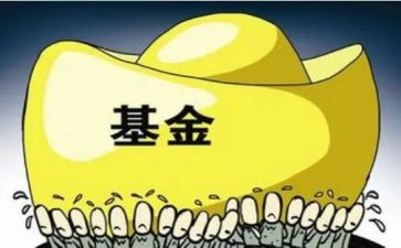基金年度个人总结5篇