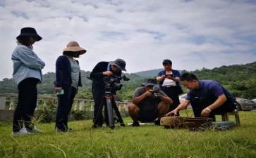 纪录片中国观后感推荐5篇