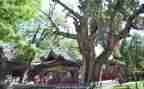 晋祠作文600字观后感模板5篇