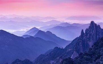 《不该错过的风景》作文精选5篇