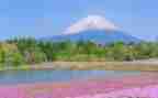 描写四季景色的作文5篇