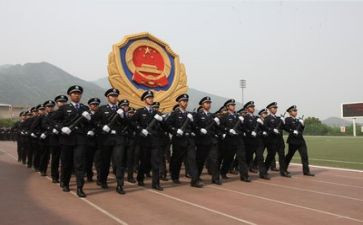 警察2023年度个人总结5篇