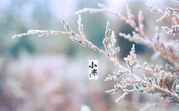 二十四节气歌演讲稿8篇