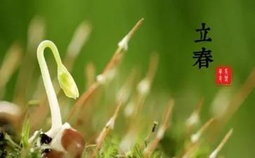 24节气作文通用8篇