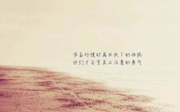 大学生学雷锋精神心得体会6篇