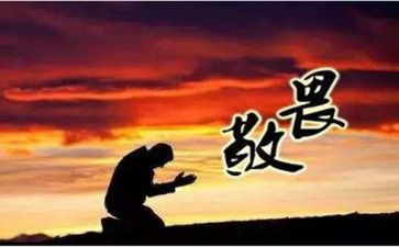 敬畏生命_读后感7篇