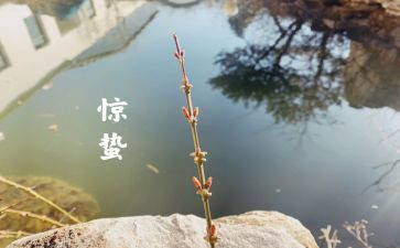 写惊蛰的作文模板6篇