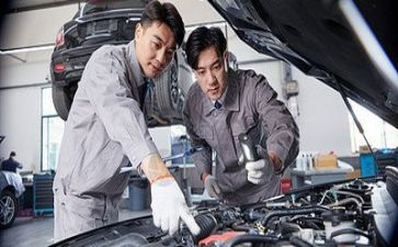 技术标工作计划参考5篇