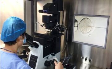 技术部的工作计划7篇