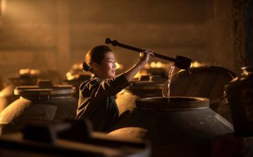 酒店出纳个人总结6篇