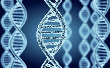 基因控制生物的性状教学反思5篇