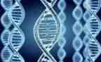 基因控制生物的性状教学反思5篇