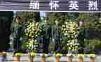 清明祭英烈讲话稿6篇
