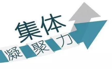 凝聚力活动方案7篇