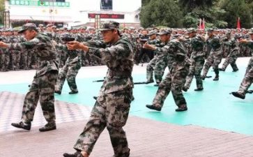 写军训的心得体会优质8篇