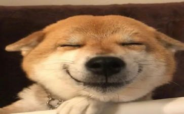 让我开心的一件事作文6篇