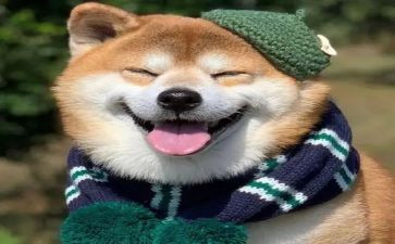 开心作文400字推荐6篇