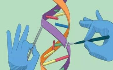 写科学老师的作文6篇
