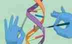 科学教案模板优质7篇