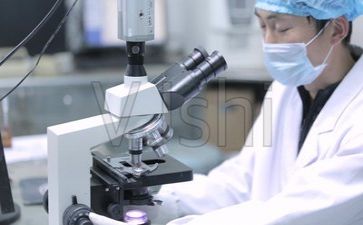 科研的工作计划模板5篇