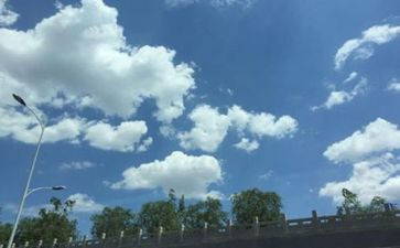 空气的调查报告参考7篇
