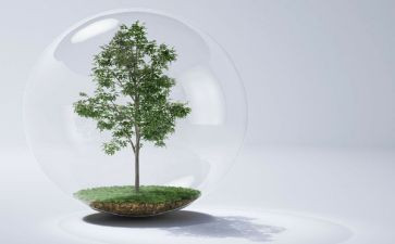 空气污染的调查报告范文6篇