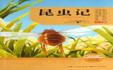 昆虫记《蝉》读后感优质6篇