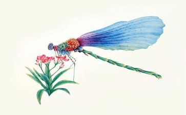 昆虫记读后感字250字5篇