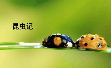 昆虫记《蝉》读后感600字精选6篇
