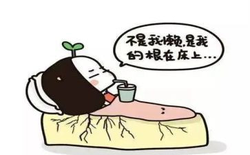 懒小猪的故事读后感7篇