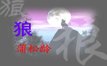 《狼》读后感300字优质6篇